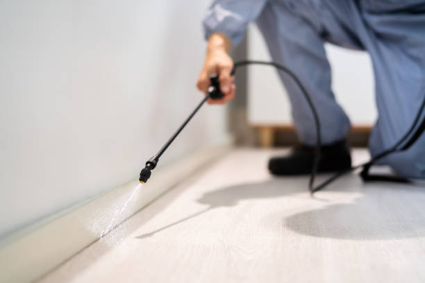 Licensed Pest Control service in Coffeyville, KS - Show Me Pest Control