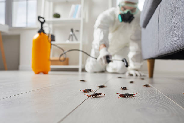 Commercial Kitchen Cockroach Control in Coffeyville